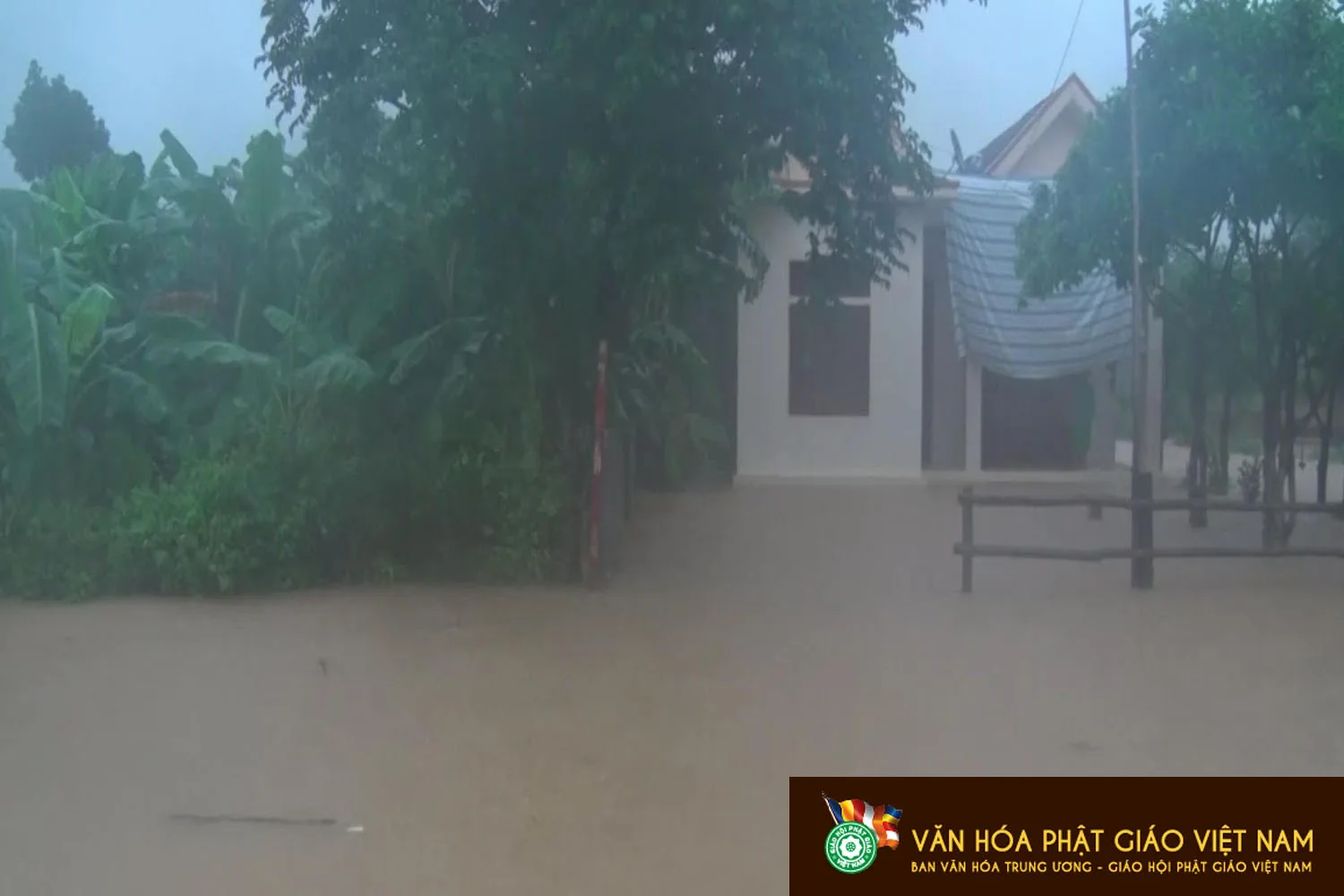 Lời kêu gọi "Góp yêu thương, chia sẻ với người dân vùng lũ"