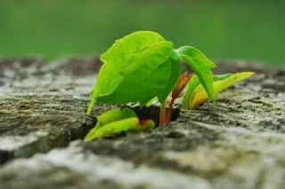 Coi chừng đẩy con cái vào đường cùng...