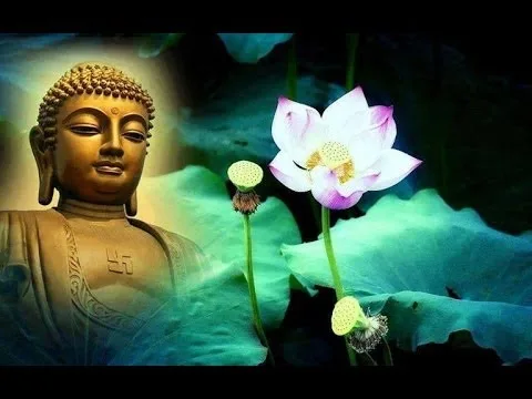 VU LAN BÀN VỀ LÝ LUẬN VÀ SỰ THẬT CỦA VIỆC SIÊU ĐỘ