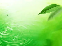 Con tôi, tài sản của tôi?