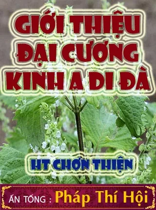 GIỚI THIỆU ĐẠI CƯƠNG KINH A DI ĐÀ