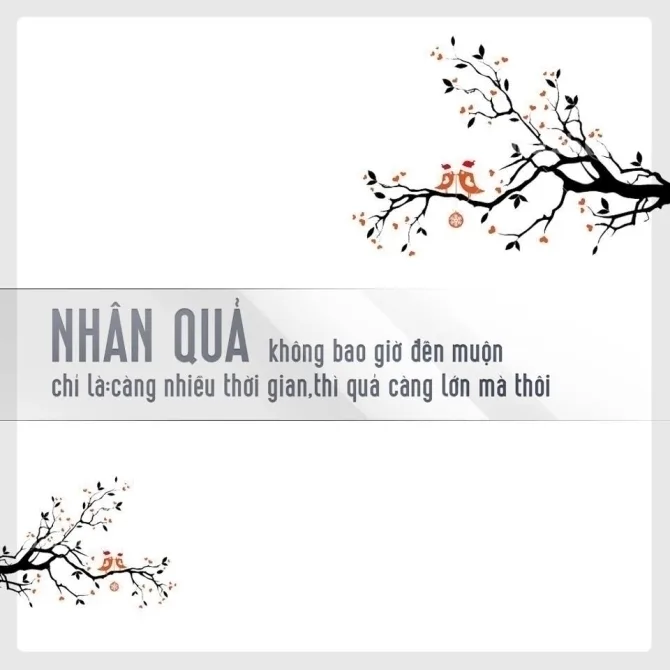Phật dạy Luật Nhân Quả