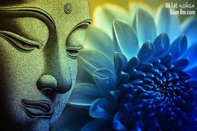 Tùy biến và cái tôi