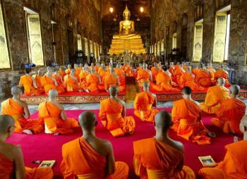 AN CƯ , NUÔI LỚN TÂM BỒ ĐỀ