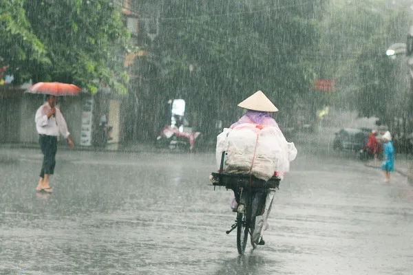 Tay lái lụa