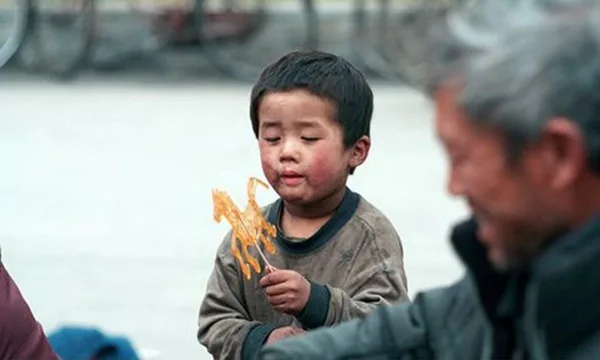 “Đến một chú chó còn có tên, vậy mà nó thì…”