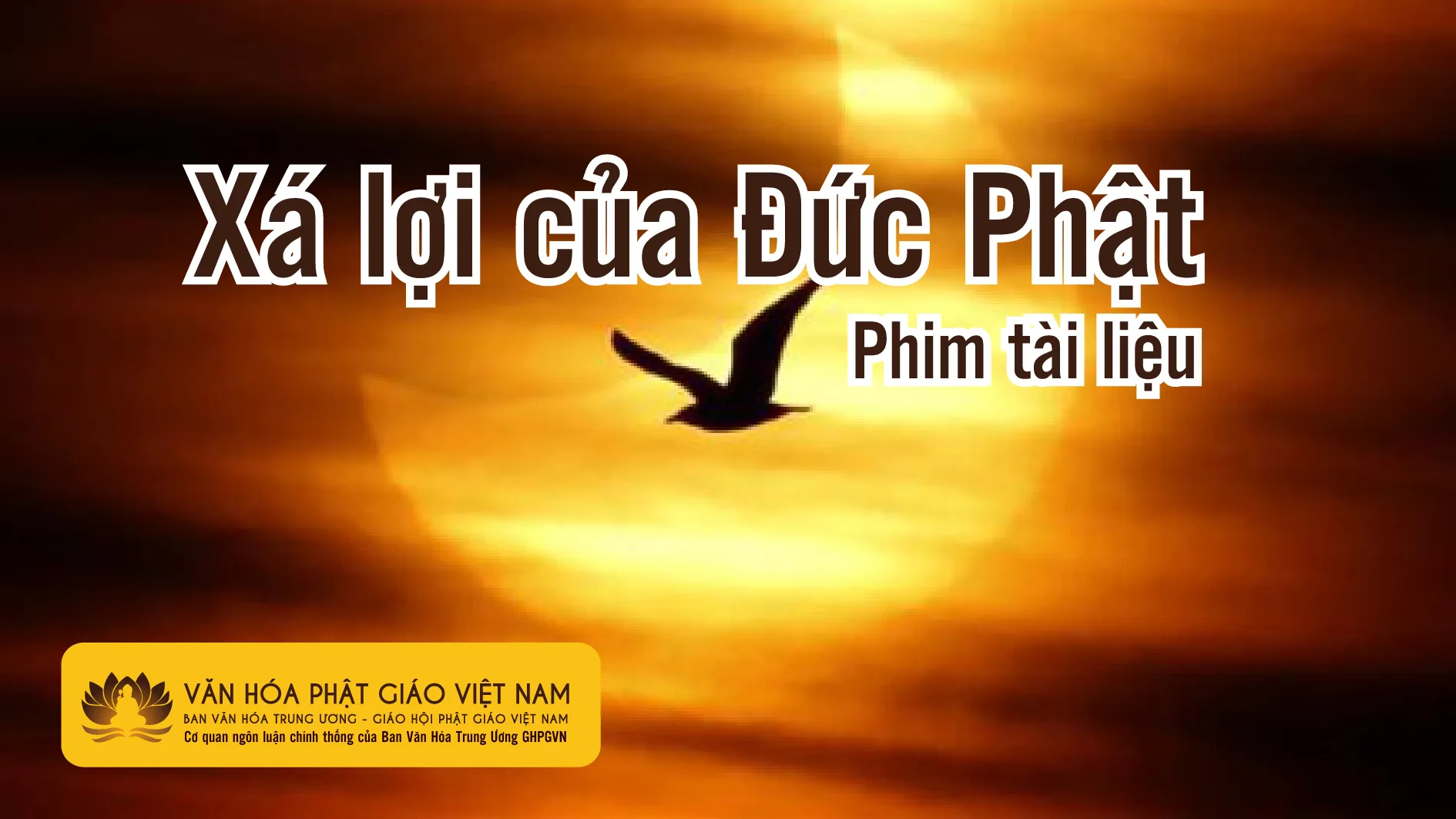 Phim về Xá Lợi của Đức Phật