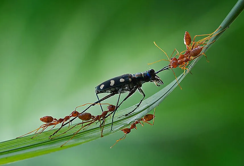 Con người cả đời tranh giành nhau rốt cuộc là vì điều gì? Đọc xong chỉ muốn làm người “thiện”