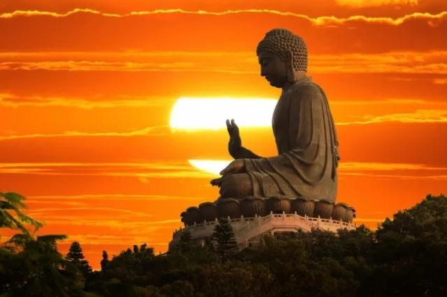 Khi Người Kéo Màn Ngủ Quên