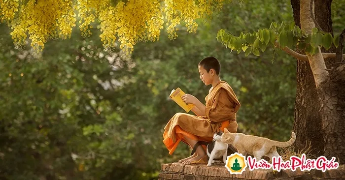 17 câu nói đáng giá ngàn vàng giúp bạn bình an