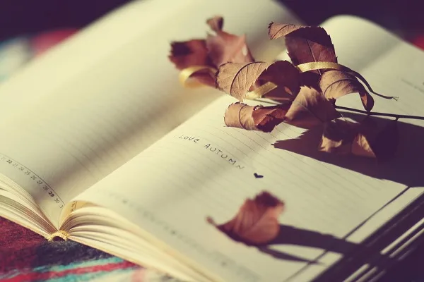 Duyên phận là thứ không cố ý theo đuổi thì có, bỏ tâm cố gắng lại chẳng thành