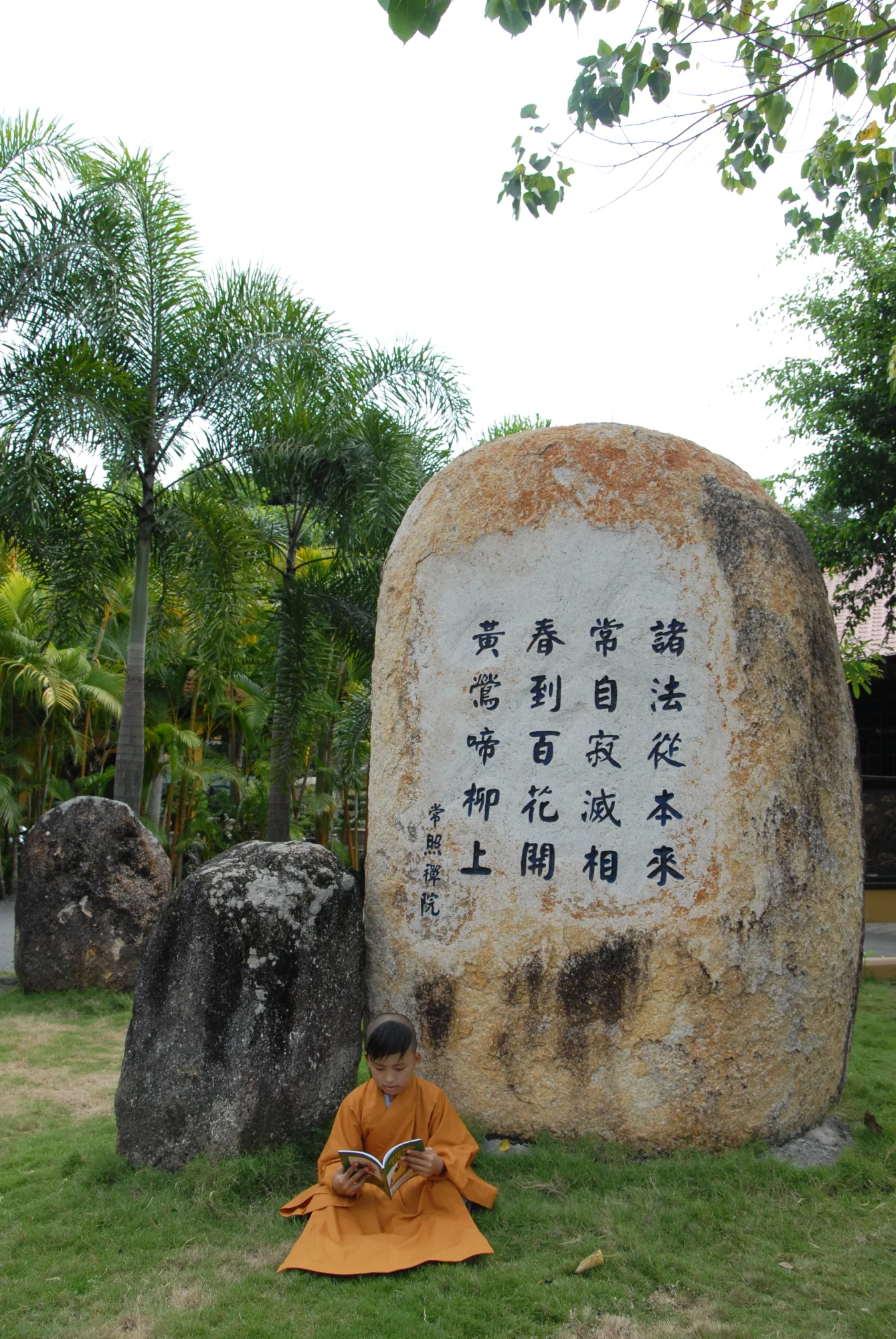 Vui nào tạm bợ, vui nào chân thật