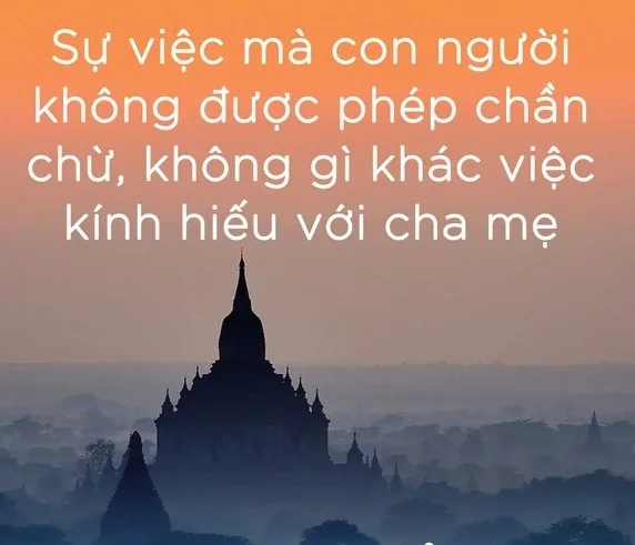 Nếu nghĩ nuôi được cha mẹ là tròn chữ hiếu thì hãy nghe lại câu này của Bill Gates!
