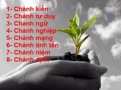 Bát Chánh đạo: quản trị khủng hoảng, tạo nền bình an