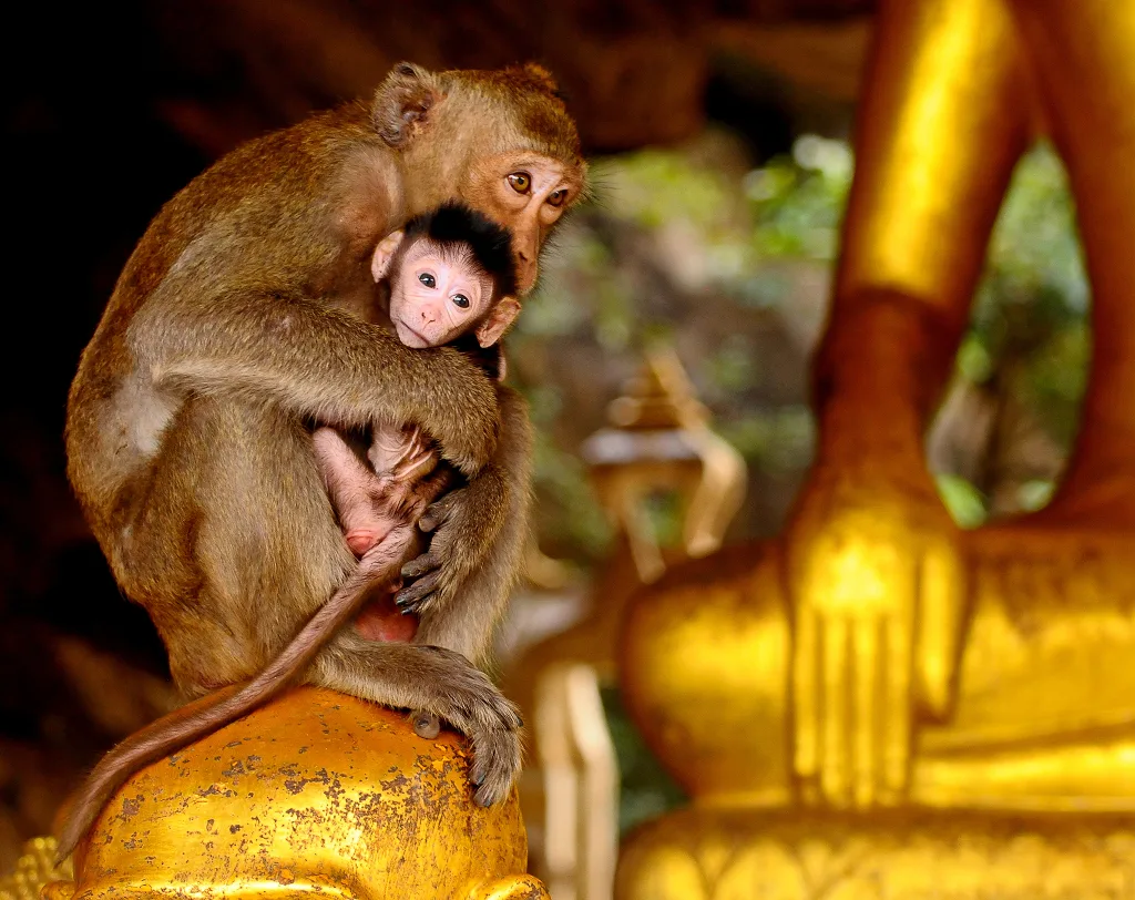 Pháp thoại bên ao Di Hầu