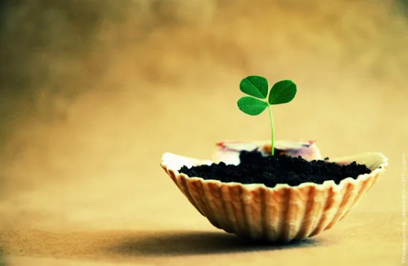 Thiền quán về biết ơn