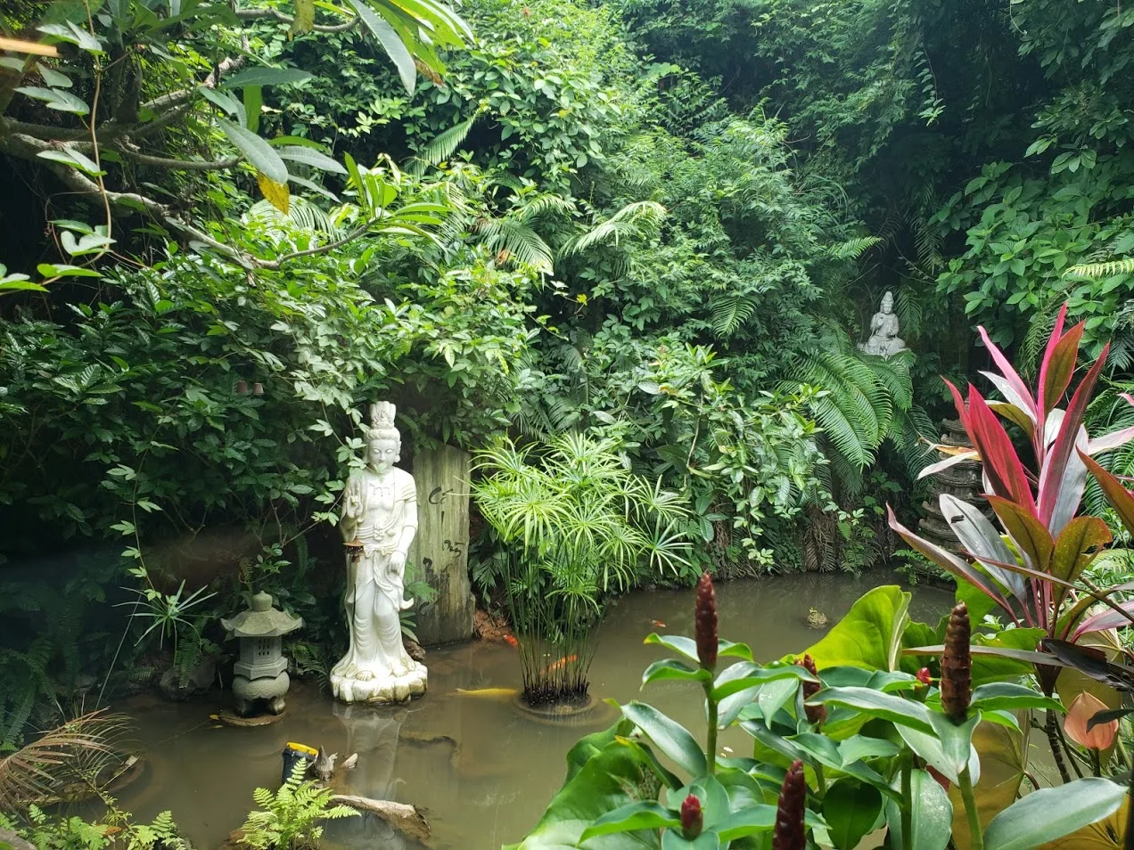 Tượng phật cùng với cây cối trong nội tự