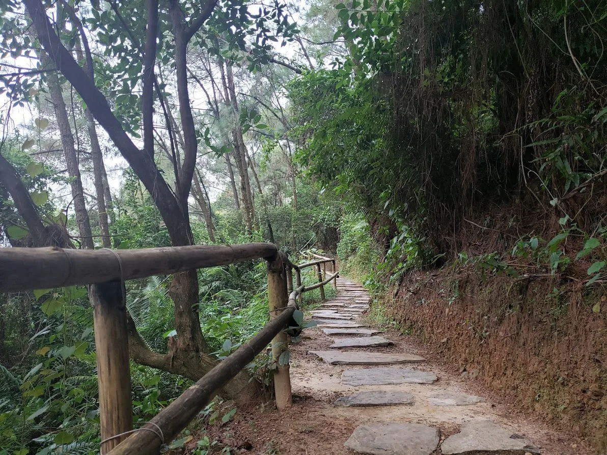 Toàn bộ cỏ ven đường hoàn toàn do nhà chùa dọn, thầy trụ trì tâm niệm thời gian được làm vườn cùng nhau cũng là thời gian tu tập trao đổi kiến thức.