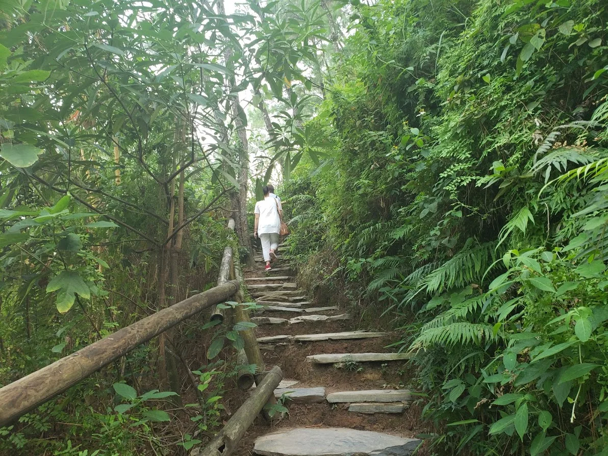 Khi mới đi, anh chị em tôi đã đi nhầm sang đường được làm để vận chuyển vật liệu xây dựng chùa, con đường này là ngắn nhất nhưng cũng dốc nhất để lên tới nền chùa cũ