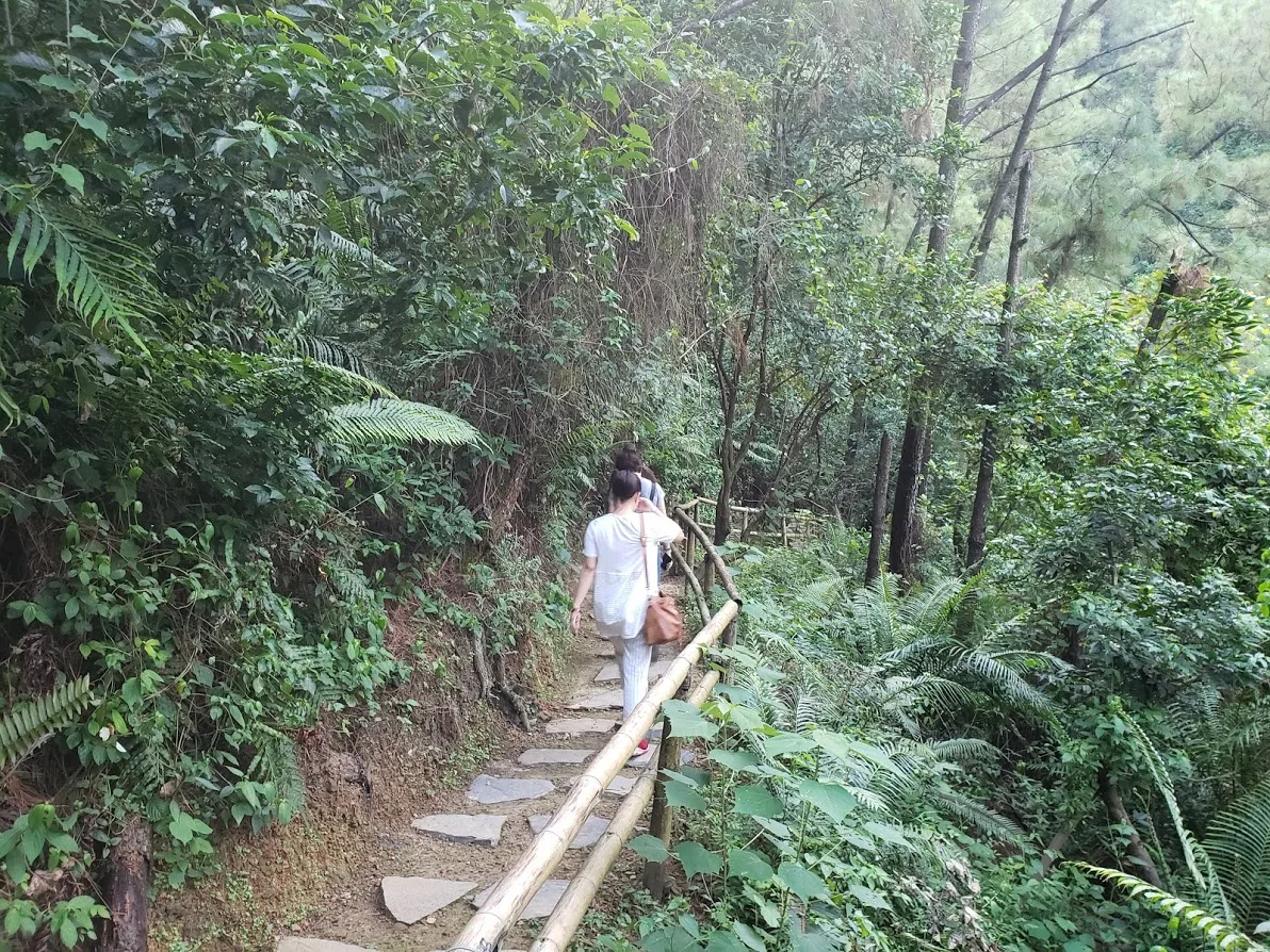 Một con đường trên núi