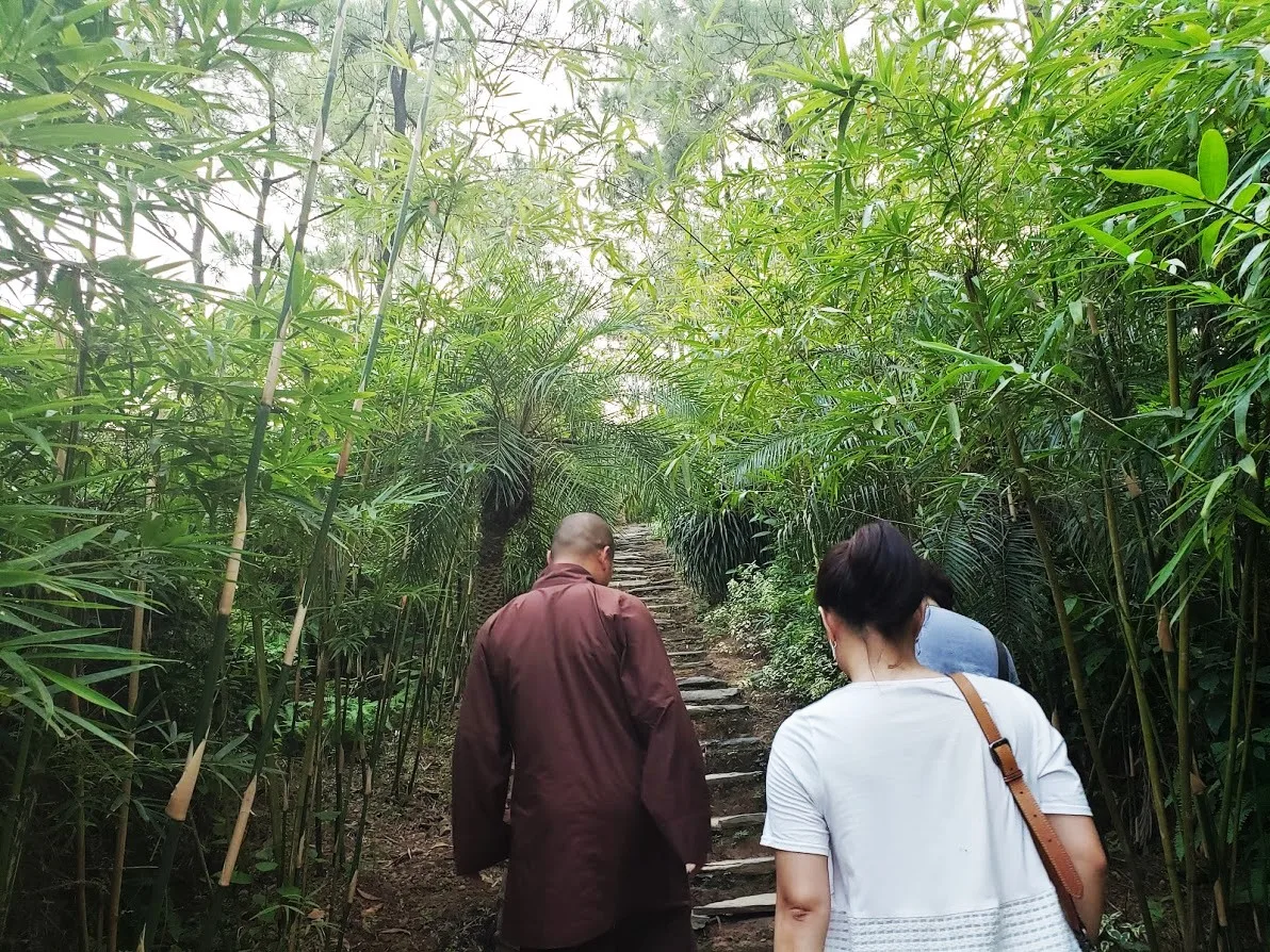 Con đường Trúc dẫn tới Vườn Đản Sinh