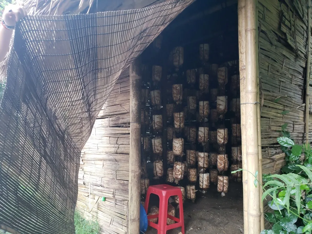 Ngôi nhà nấm, nơi đây trồng trên dưới 1000 loại nấm cung cấp lượng thực phẩm đủ dùng cho Chùa