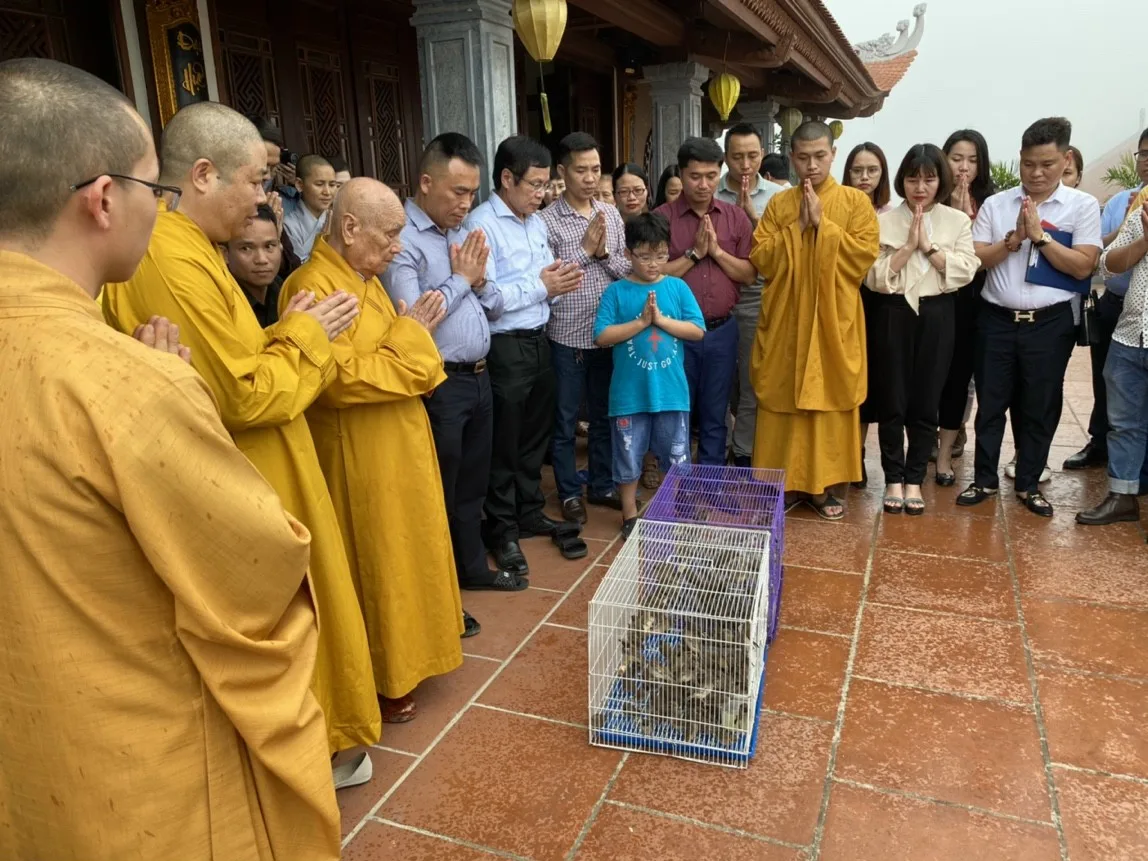 Chương trình 'Chùa Xanh' trồng hơn 1.100 cây xanh trên núi Đại Huệ