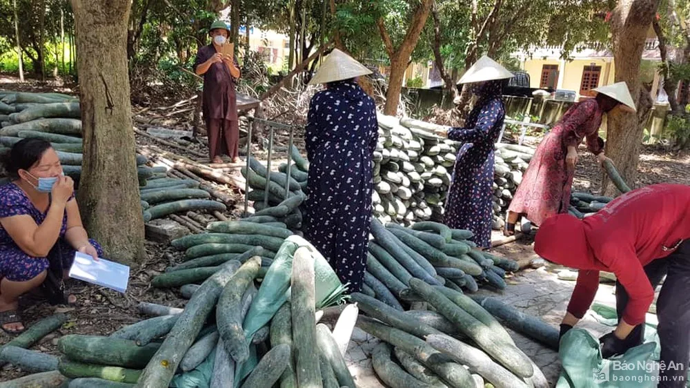 Những ngày qua, sư thầy và bà con phật tử chùa Vĩnh Phúc (Nam Đàn) đã vận động, quyên góp được 5 tấn nhu yếu phẩm (củ, quả tươi) để trao tặng cho đồng bào miền Nam. Trước đó, nhà chùa đã tổ chức thành công 20 chuyến xe thiện nguyện cung cấp rau quả