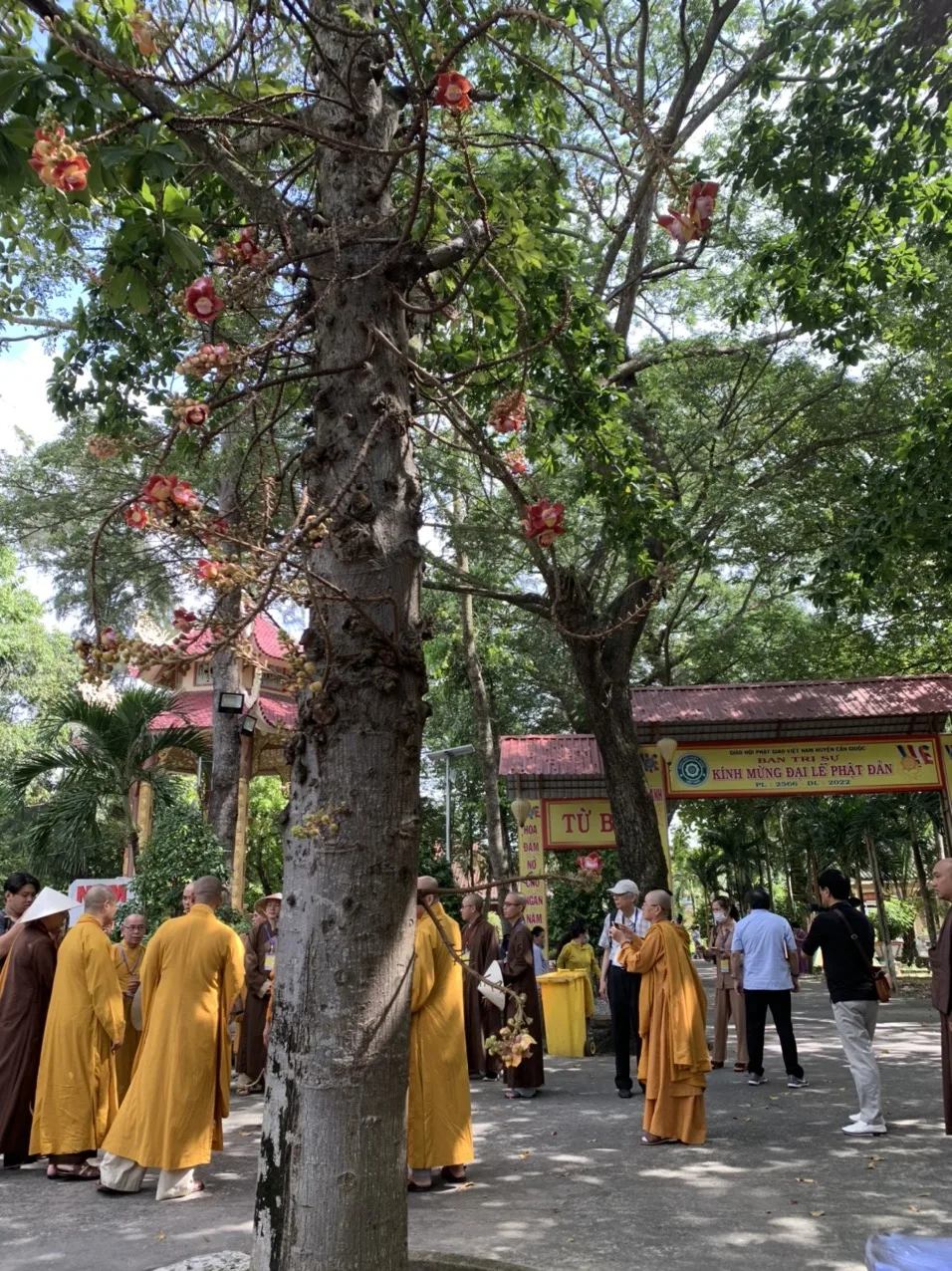 Đồng Nai - Đoàn khảo sát Kiến trúc Phật giáo VN : 3 trong 5 chùa diện khảo sát có tuổi trên 300 năm
