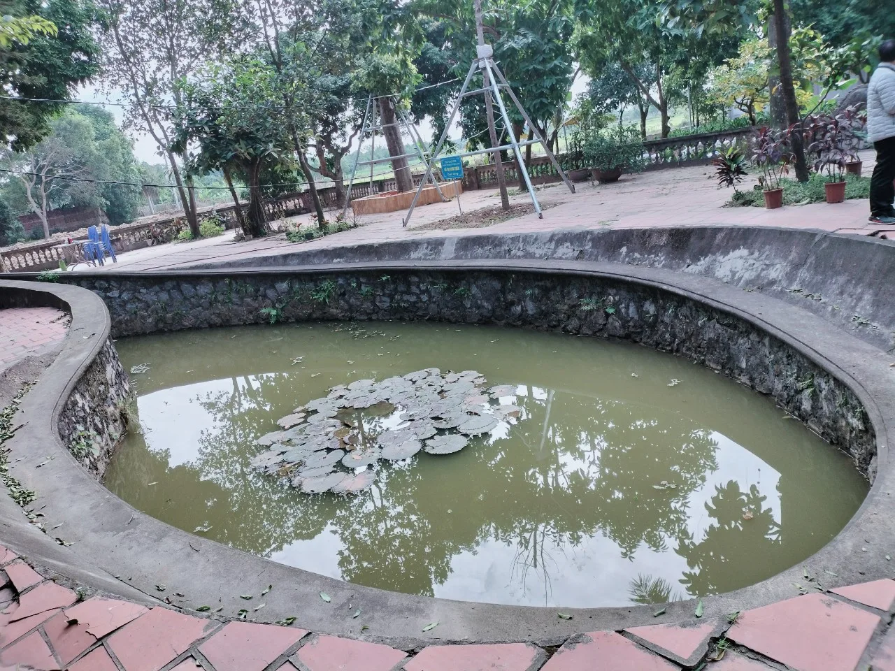 Hồ mắt rồng trong khuôn viên chùa Tổ Mãn Xá