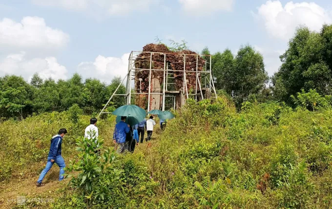 Phật viện Đồng Dương còn sót lại tháp Sáng, được chống đỡ bằng các trụ sắt tránh nguy cơ sập đổ.