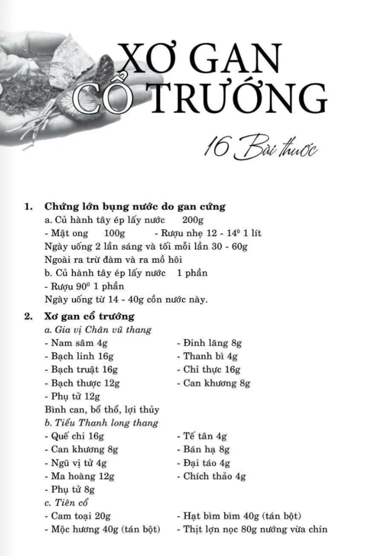 16 bài thuốc trị xơ Gan