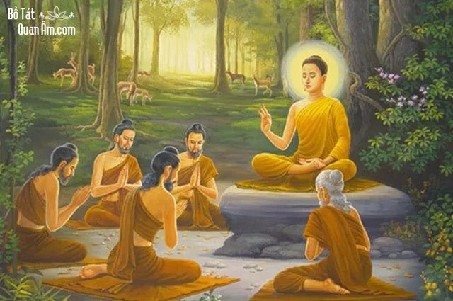 Tại sao Đức Phật thường nói đến sự khổ đau