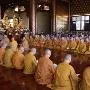 Niềm tin & lòng thành hướng về Phật Dược Sư