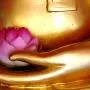 Dây trói bền chắc nhất