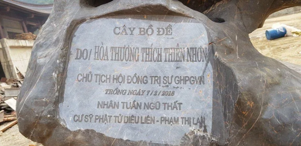 Hoà thượng Chủ tịch trồng cây tại chùa Tam Trúc – nơi tổ chức Vesak LHQ 2019