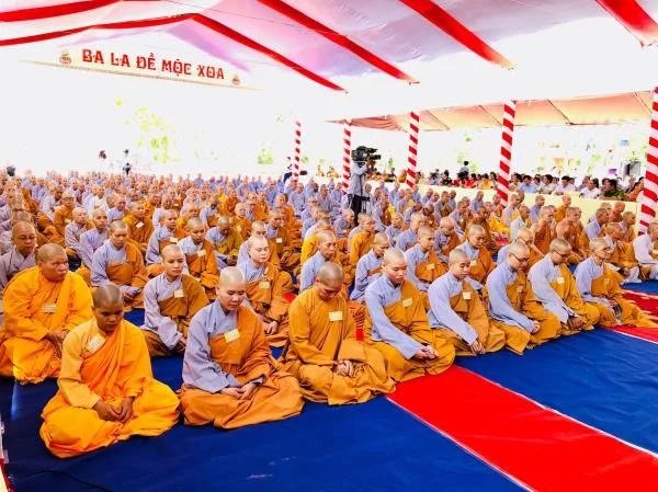 Giới tử