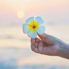 Chuyển hóa ác tâm