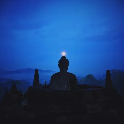 Bản năng - Hiểu thế nào cho đúng?