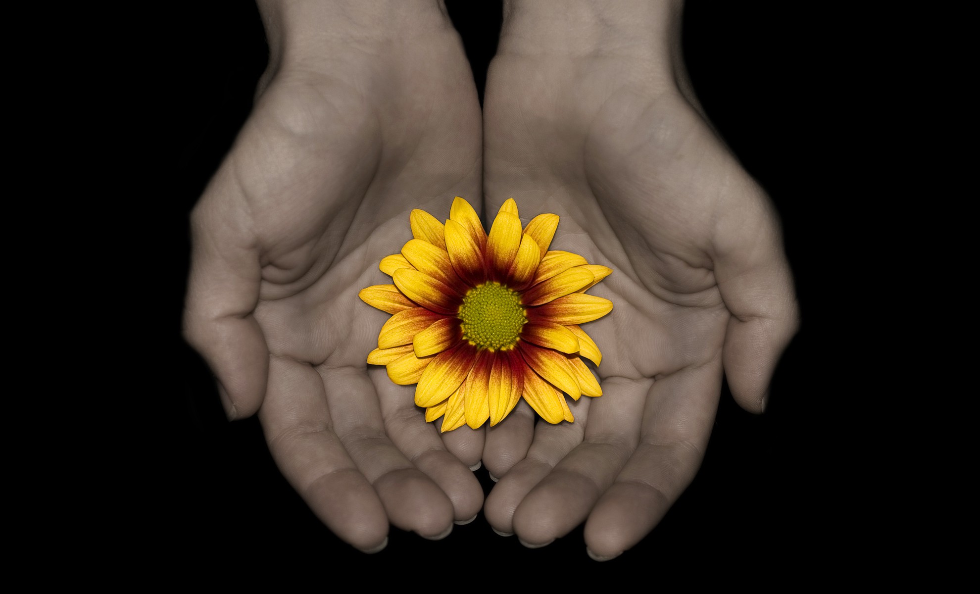 Hạnh phúc hay khổ đều dựa vào thái độ sống của bạn