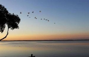 Lời bạt về cuộc đời của Viên Liễu Phàm và Du Tịnh Ý