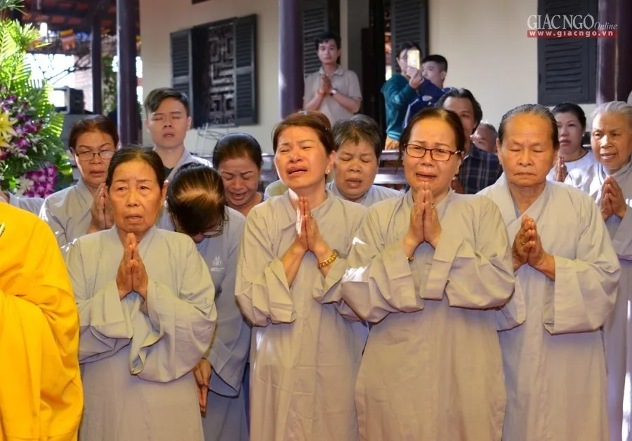 Đại giới đàn Trí Tịnh PL.2561: Giới tử Tỳ-kheo-ni cầu Chánh pháp với Đại Tăng