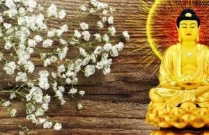 Tại sao đức Phật nói : “Kẻ thù lớn nhất đời người là chính mình?”