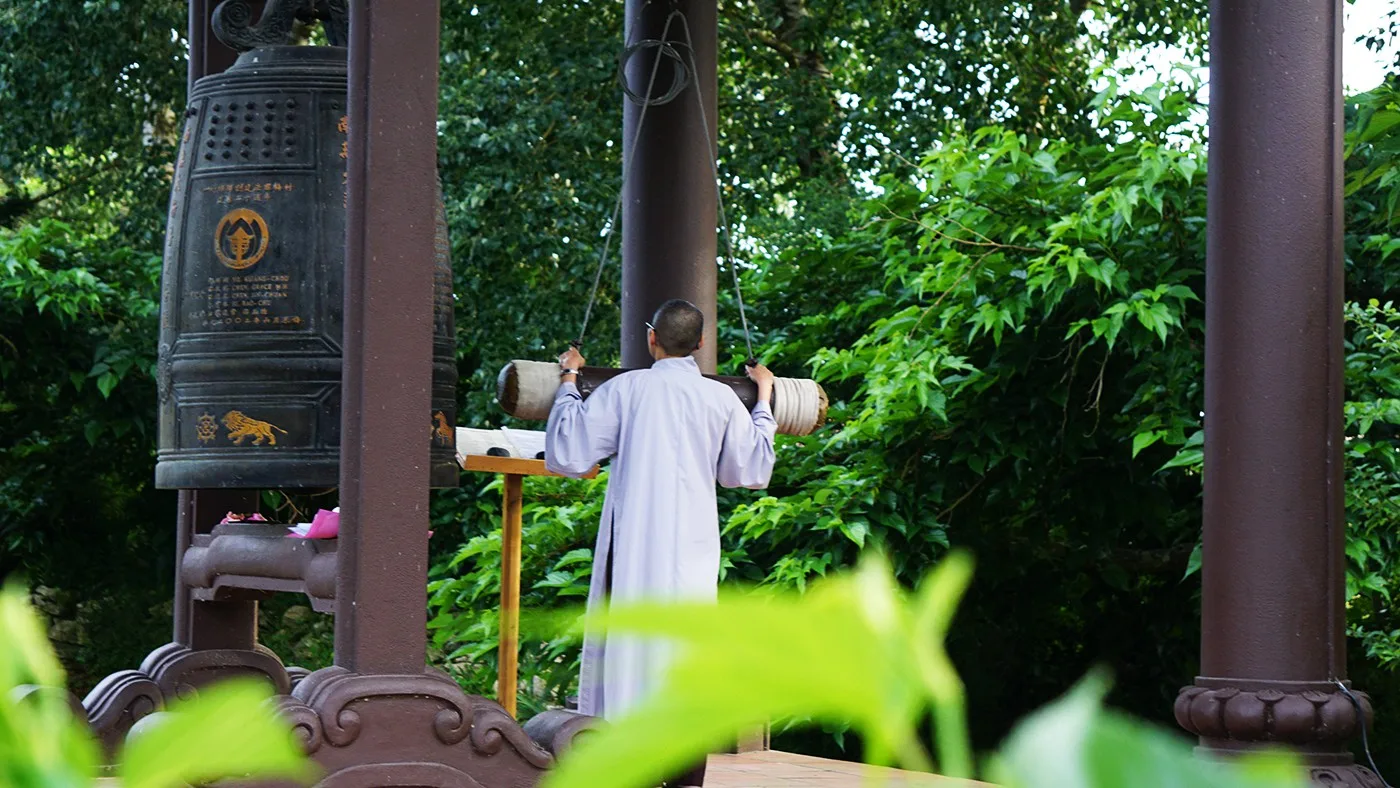Tôi là một phần của mẹ thiên nhiên