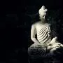 Xin đừng cố ý nói sai kinh Phật