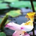 Làm gì khi kề cận cái chết?