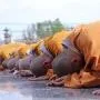 Trước tròn bổn phận sau mới xuất gia