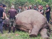 Phát động chiến dịch &#8216;Ngưng tạo nghiệp&#8217;