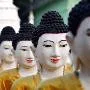 Báo thân có trường tồn?