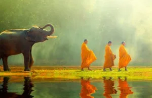 8 cách sống hiểu ra từ đức Phật giúp bạn luôn vui vẻ, xinh đẹp “Từ Trong Ra Ngoài”